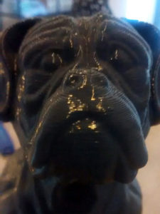 boxer