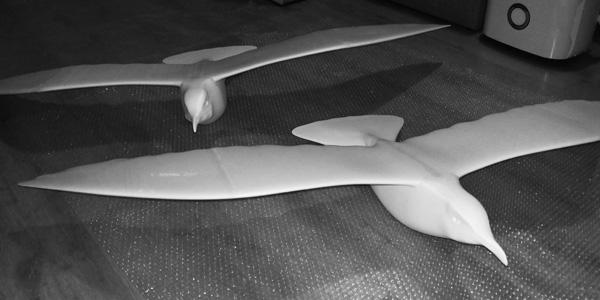 gabbiano_08_600x300