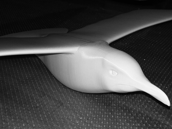 gabbiano_09_600x450