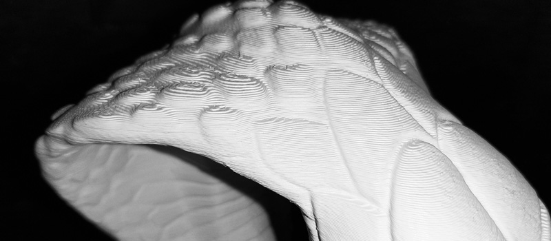 testa serpente 06